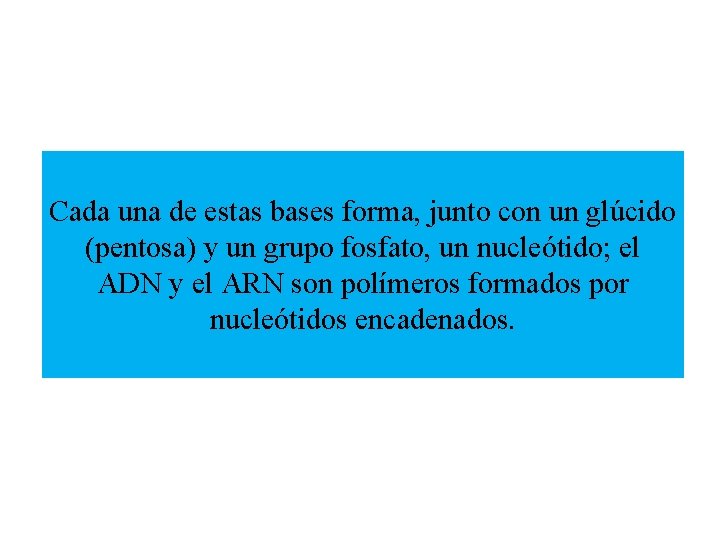 Cada una de estas bases forma, junto con un glúcido (pentosa) y un grupo