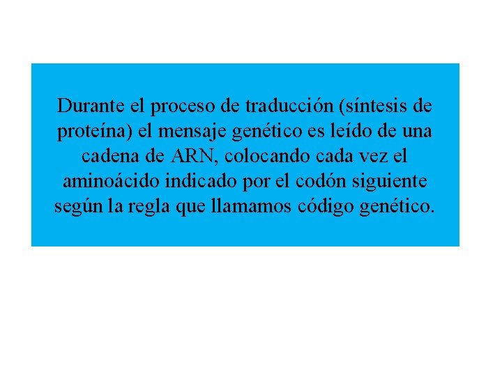 Durante el proceso de traducción (síntesis de proteína) el mensaje genético es leído de