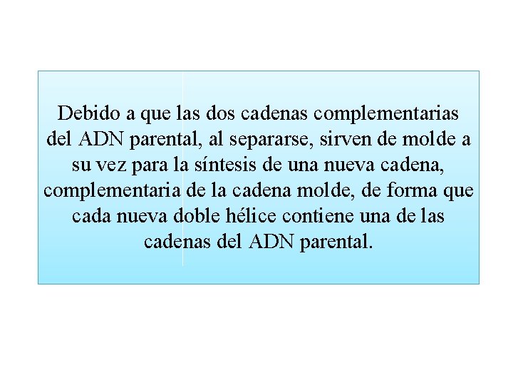 Debido a que las dos cadenas complementarias del ADN parental, al separarse, sirven de