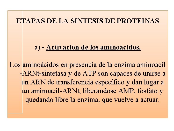 ETAPAS DE LA SINTESIS DE PROTEINAS a). - Activación de los aminoácidos. Los aminoácidos