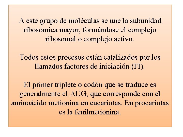 A este grupo de moléculas se une la subunidad ribosómica mayor, formándose el complejo