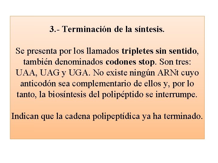 3. - Terminación de la síntesis. Se presenta por los llamados tripletes sin sentido,