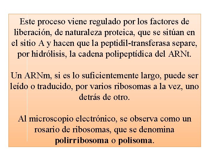 Este proceso viene regulado por los factores de liberación, de naturaleza proteica, que se