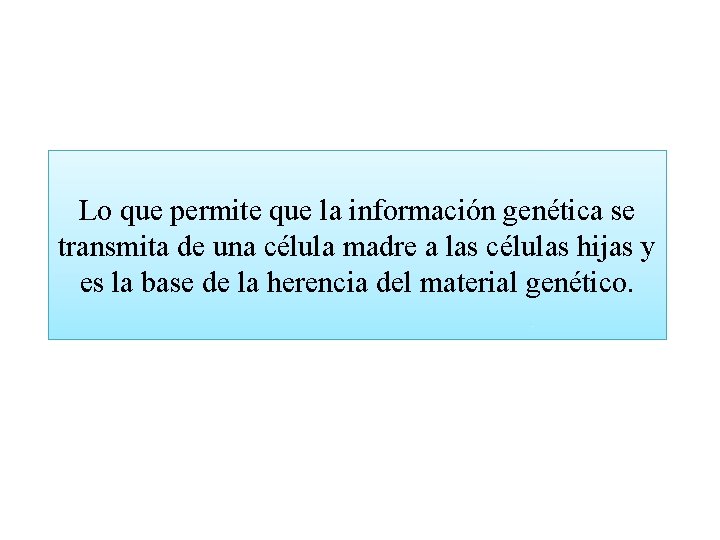 Lo que permite que la información genética se transmita de una célula madre a