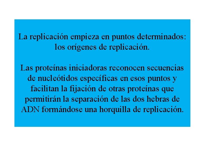 La replicación empieza en puntos determinados: los orígenes de replicación. Las proteínas iniciadoras reconocen