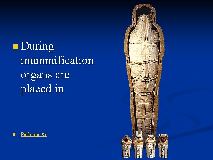 n During mummification organs are placed in n Push me! 