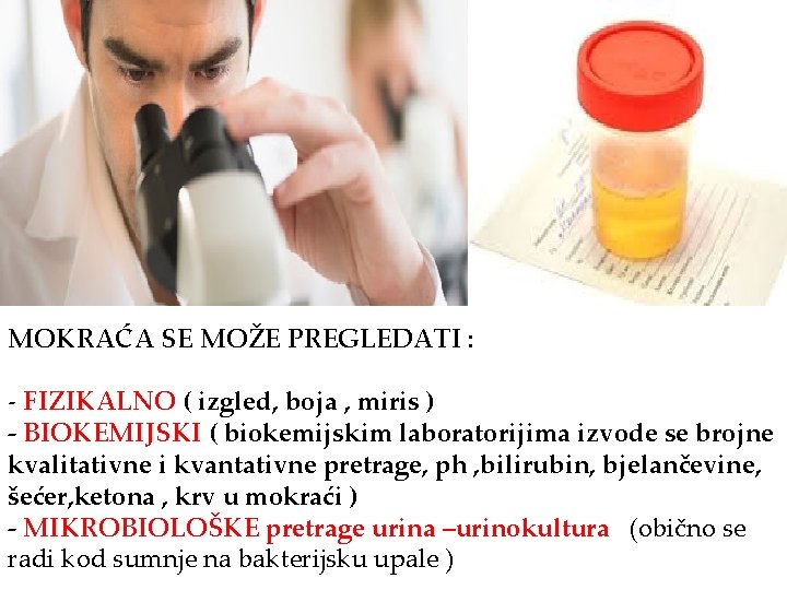 MOKRAĆA SE MOŽE PREGLEDATI : - FIZIKALNO ( izgled, boja , miris ) -