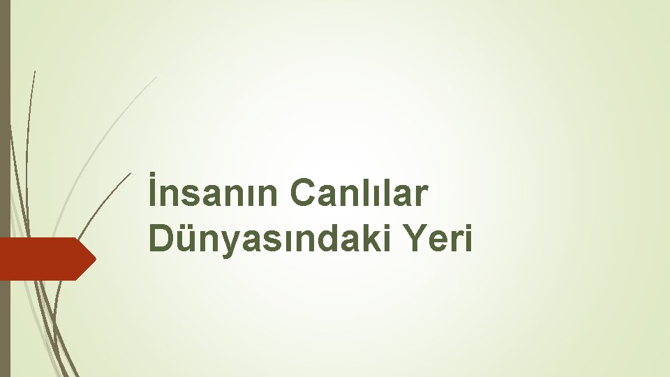 İnsanın Canlılar Dünyasındaki Yeri 