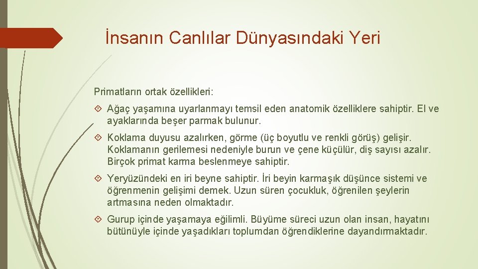 İnsanın Canlılar Dünyasındaki Yeri Primatların ortak özellikleri: Ağaç yaşamına uyarlanmayı temsil eden anatomik özelliklere