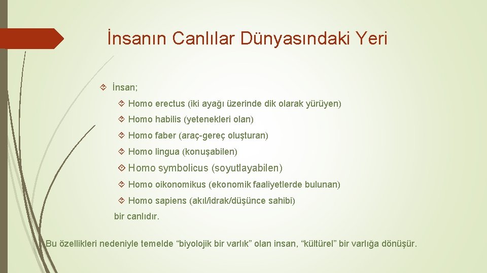 İnsanın Canlılar Dünyasındaki Yeri İnsan; Homo erectus (iki ayağı üzerinde dik olarak yürüyen) Homo