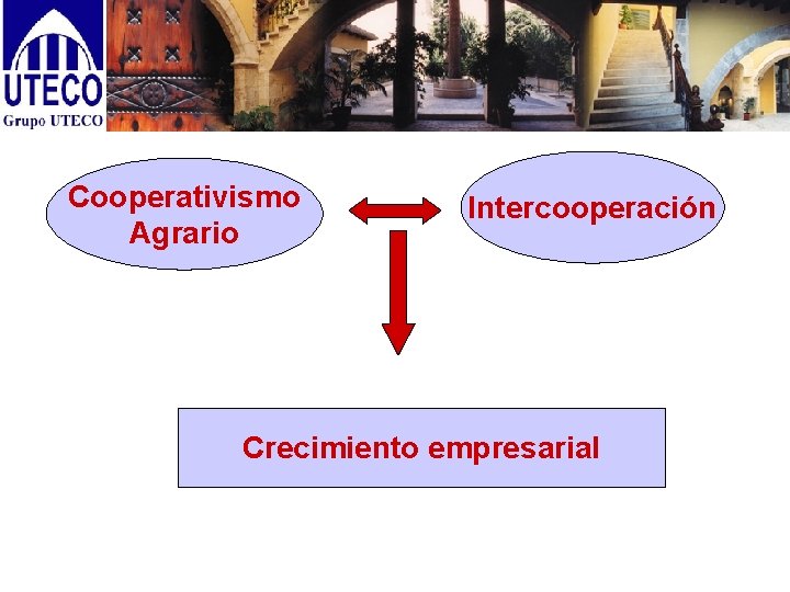 Cooperativismo Agrario Intercooperación Crecimiento empresarial 
