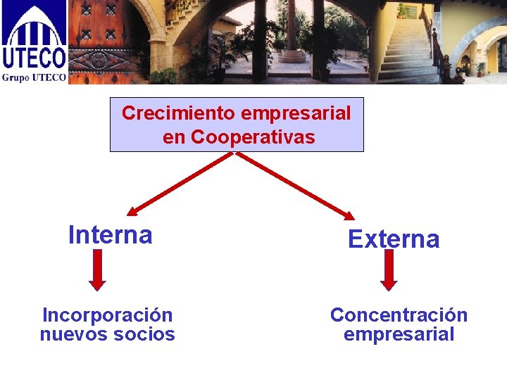 Crecimiento empresarial en Cooperativas Interna Externa Incorporación nuevos socios Concentración empresarial 