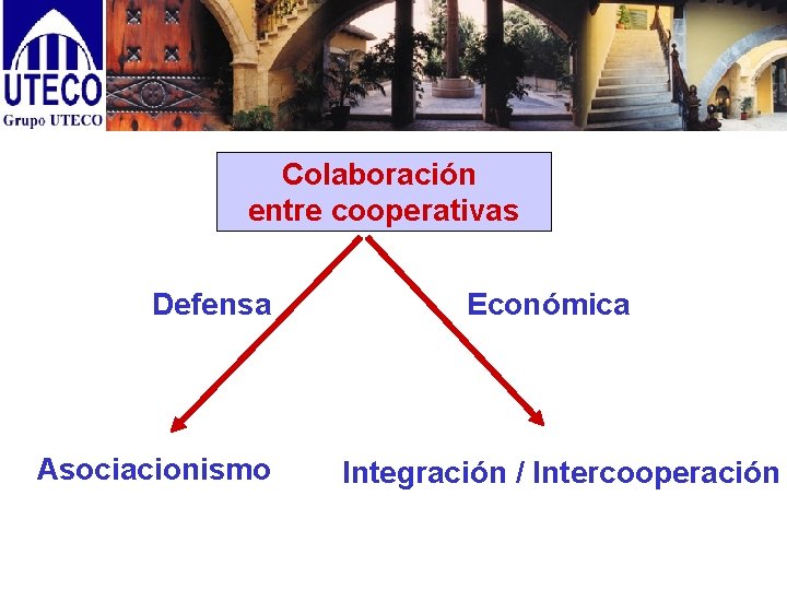 Colaboración entre cooperativas Defensa Asociacionismo Económica Integración / Intercooperación 