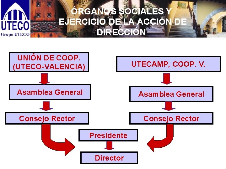 ÓRGANOS SOCIALES Y EJERCICIO DE LA ACCIÓN DE DIRECCIÓN UNIÓN DE COOP. (UTECO-VALENCIA) UTECAMP,