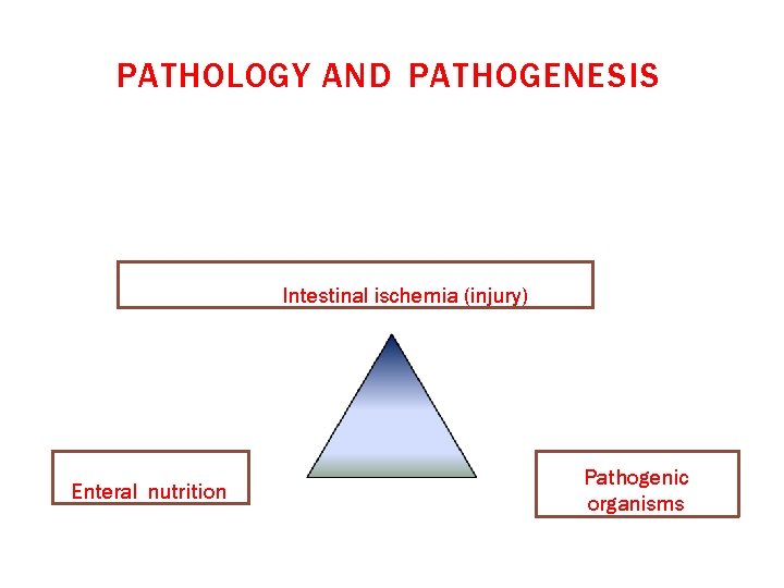 PATHOLOGY AND PATHOGENESIS Intestinal ischemia (injury) Enteral nutrition Pathogenic organisms 