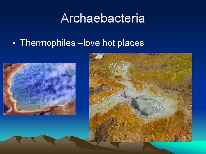 Archaebacteria • Thermophiles –love hot places 