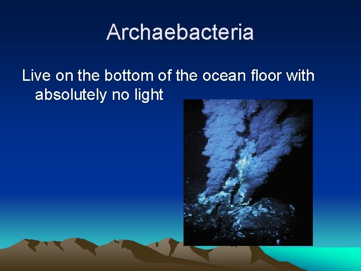 Archaebacteria Live on the bottom of the ocean floor with absolutely no light 