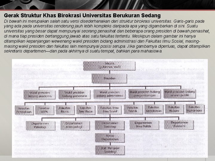 Gerak Struktur Khas Birokrasi Universitas Berukuran Sedang Di bawah ini merupakan salah satu versi