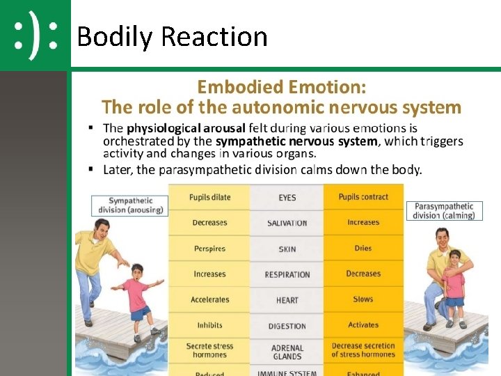 Bodily Reaction Bodily Reaction
