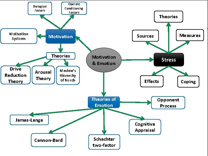 Operant Conditioning Factors Biological Factors Motivation Systems Arousal Theory Motivation & Emotion Maslow’s Hierarchy Operant Conditioning Factors Biological Factors Motivation Systems Arousal Theory Motivation & Emotion Maslow’s Hierarchy