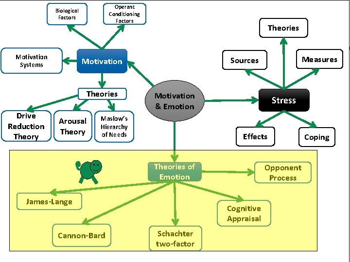 Operant Conditioning Factors Biological Factors Motivation Systems Arousal Theory Motivation & Emotion Maslow’s Hierarchy Operant Conditioning Factors Biological Factors Motivation Systems Arousal Theory Motivation & Emotion Maslow’s Hierarchy