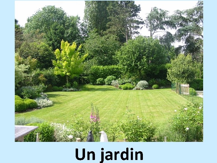 Un jardin 