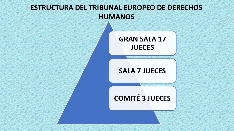 ESTRUCTURA DEL TRIBUNAL EUROPEO DE DERECHOS HUMANOS GRAN SALA 17 JUECES SALA 7 JUECES ESTRUCTURA DEL TRIBUNAL EUROPEO DE DERECHOS HUMANOS GRAN SALA 17 JUECES SALA 7 JUECES
