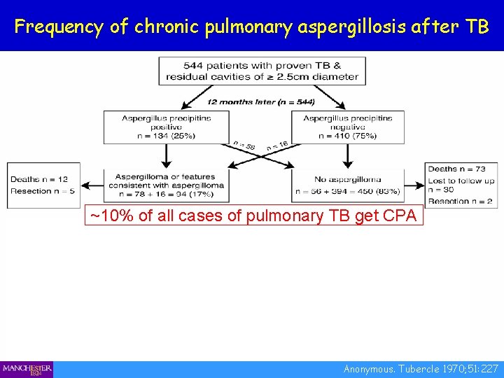 Frequency of chronic pulmonary aspergillosis after TB ~10% of all cases of pulmonary TB
