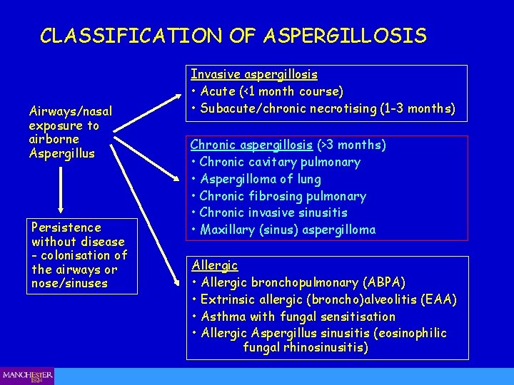 CLASSIFICATION OF ASPERGILLOSIS Airways/nasal exposure to airborne Aspergillus Persistence without disease - colonisation of