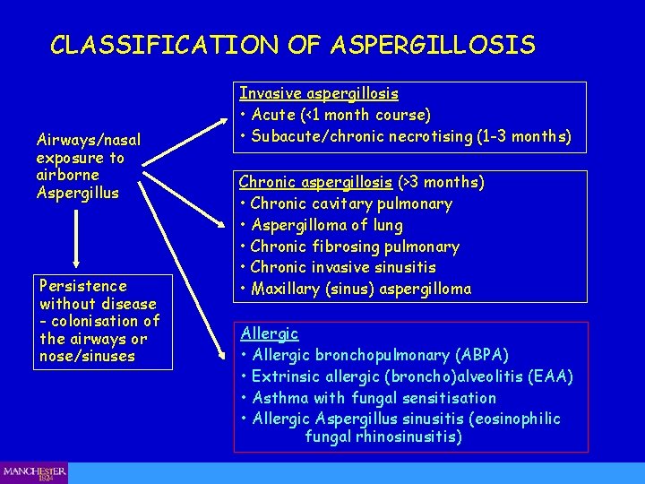 CLASSIFICATION OF ASPERGILLOSIS Airways/nasal exposure to airborne Aspergillus Persistence without disease - colonisation of