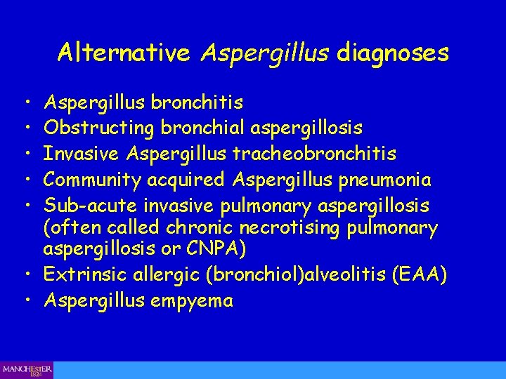 Alternative Aspergillus diagnoses • • • Aspergillus bronchitis Obstructing bronchial aspergillosis Invasive Aspergillus tracheobronchitis