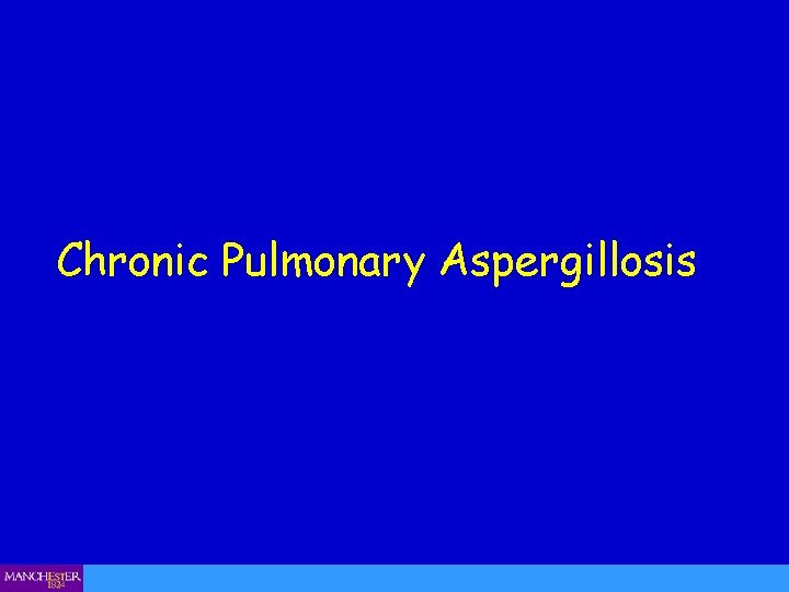 Chronic Pulmonary Aspergillosis 