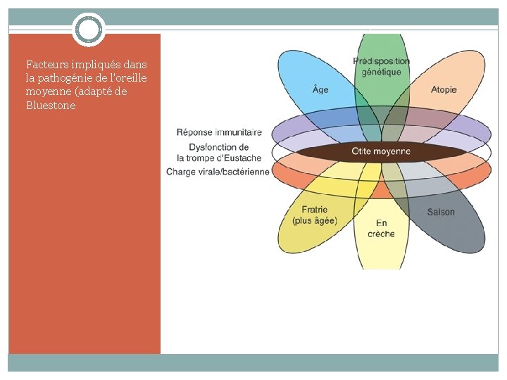 Facteurs impliqués dans la pathogénie de l'oreille moyenne (adapté de Bluestone 