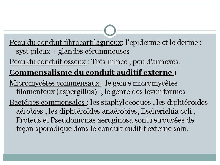 Peau du conduit fibrocartilagineux: l’epiderme et le derme : syst pileux + glandes cérumineuses