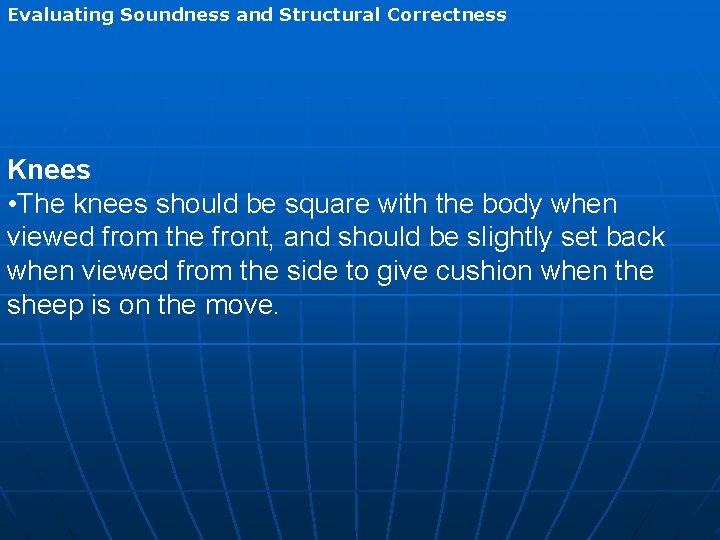 Evaluating Soundness and Structural Correctness Knees • The knees should be square with the