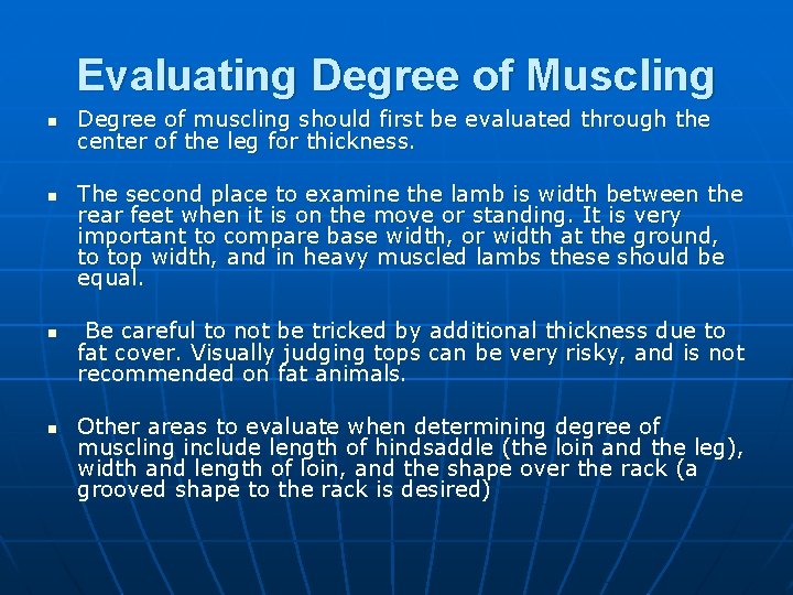 Evaluating Degree of Muscling n n Degree of muscling should first be evaluated through