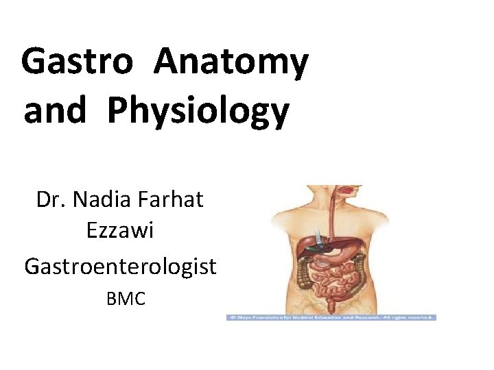 Gastro Anatomy and Physiology Dr. Nadia Farhat Ezzawi Gastroenterologist BMC 