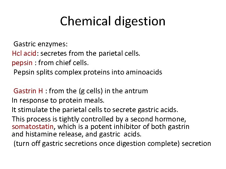 Chemical digestion Gastric enzymes: Hcl acid: secretes from the parietal cells. pepsin : from