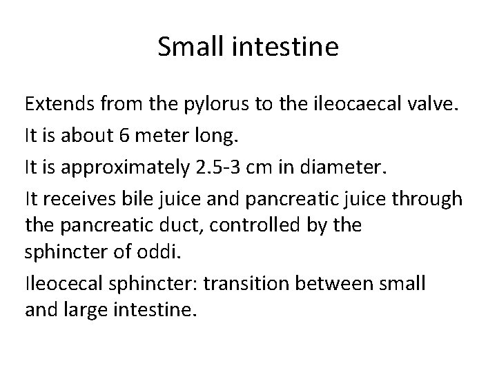 Small intestine Extends from the pylorus to the ileocaecal valve. It is about 6
