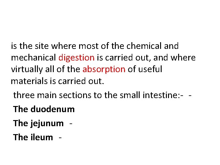 is the site where most of the chemical and mechanical digestion is carried out,