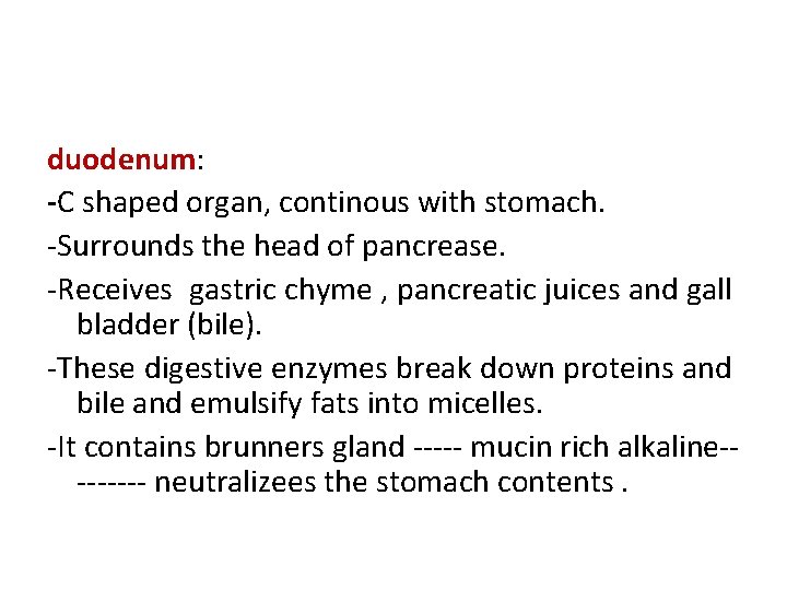 duodenum: -C shaped organ, continous with stomach. -Surrounds the head of pancrease. -Receives gastric
