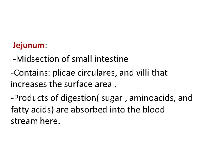 Jejunum: -Midsection of small intestine -Contains: plicae circulares, and villi that increases the surface