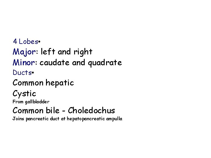 4 Lobes • Major: left and right Minor: caudate and quadrate Ducts • Common