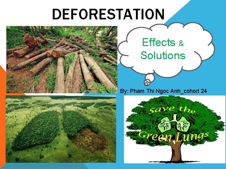 DEFORESTATION Effects & Solutions By: Pham Thi Ngoc Anh_cohort 24 