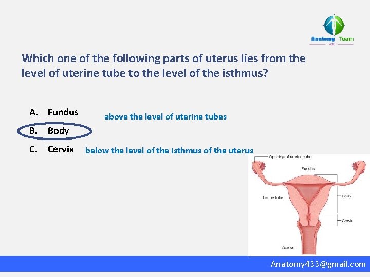 Which one of the following parts of uterus lies from the level of uterine