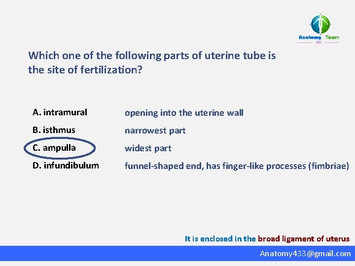 Which one of the following parts of uterine tube is the site of fertilization?
