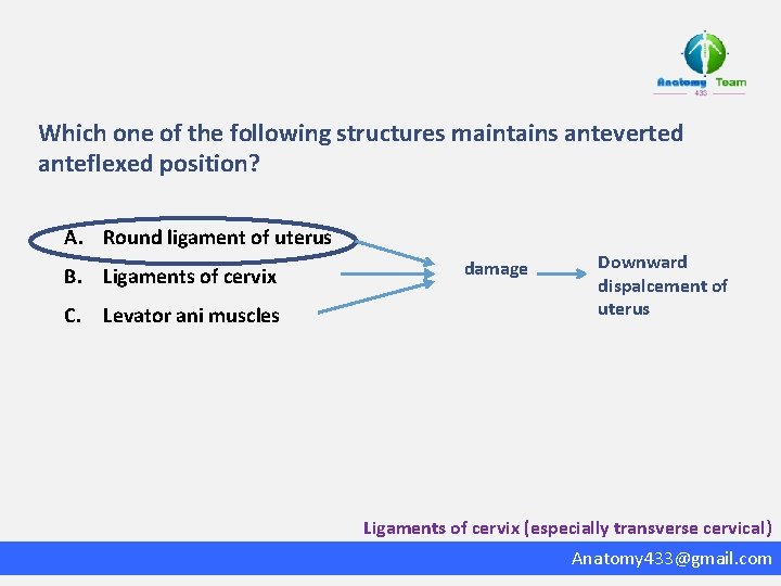 Which one of the following structures maintains anteverted anteflexed position? A. Round ligament of