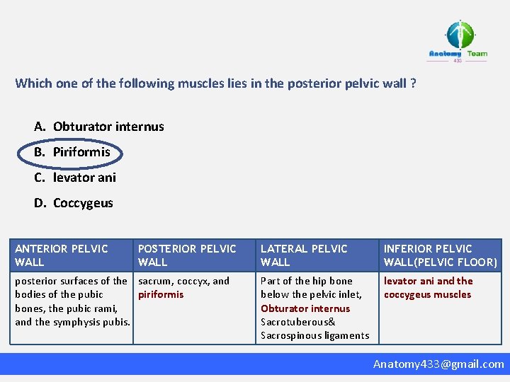 Which one of the following muscles lies in the posterior pelvic wall ? A.