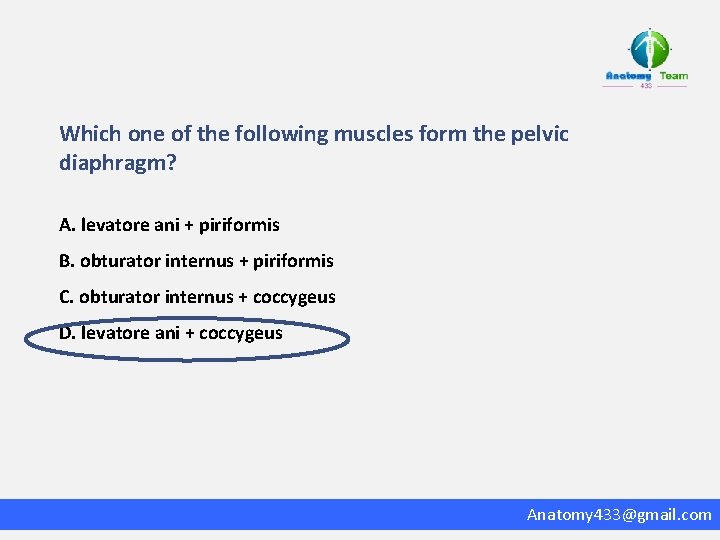 Which one of the following muscles form the pelvic diaphragm? A. levatore ani +