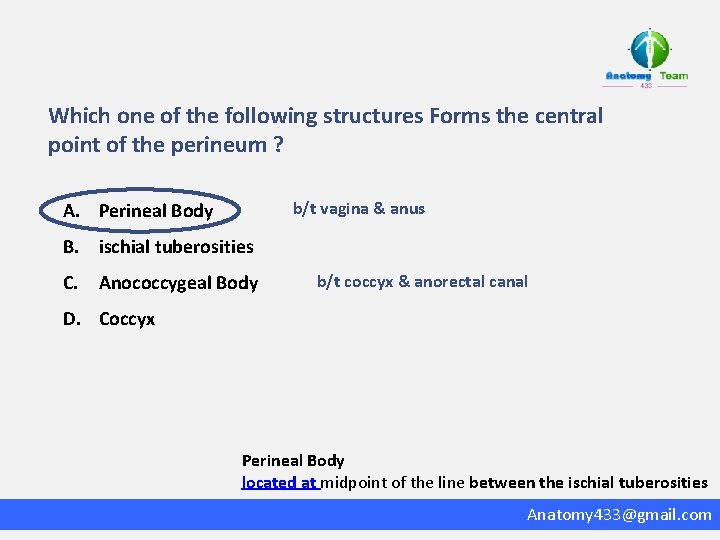 Which one of the following structures Forms the central point of the perineum ?